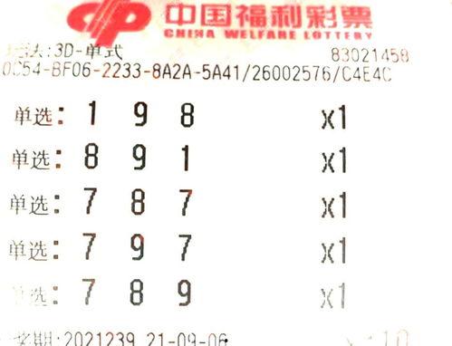 3d和排列3,揭秘数字游戏的奥秘与策略
